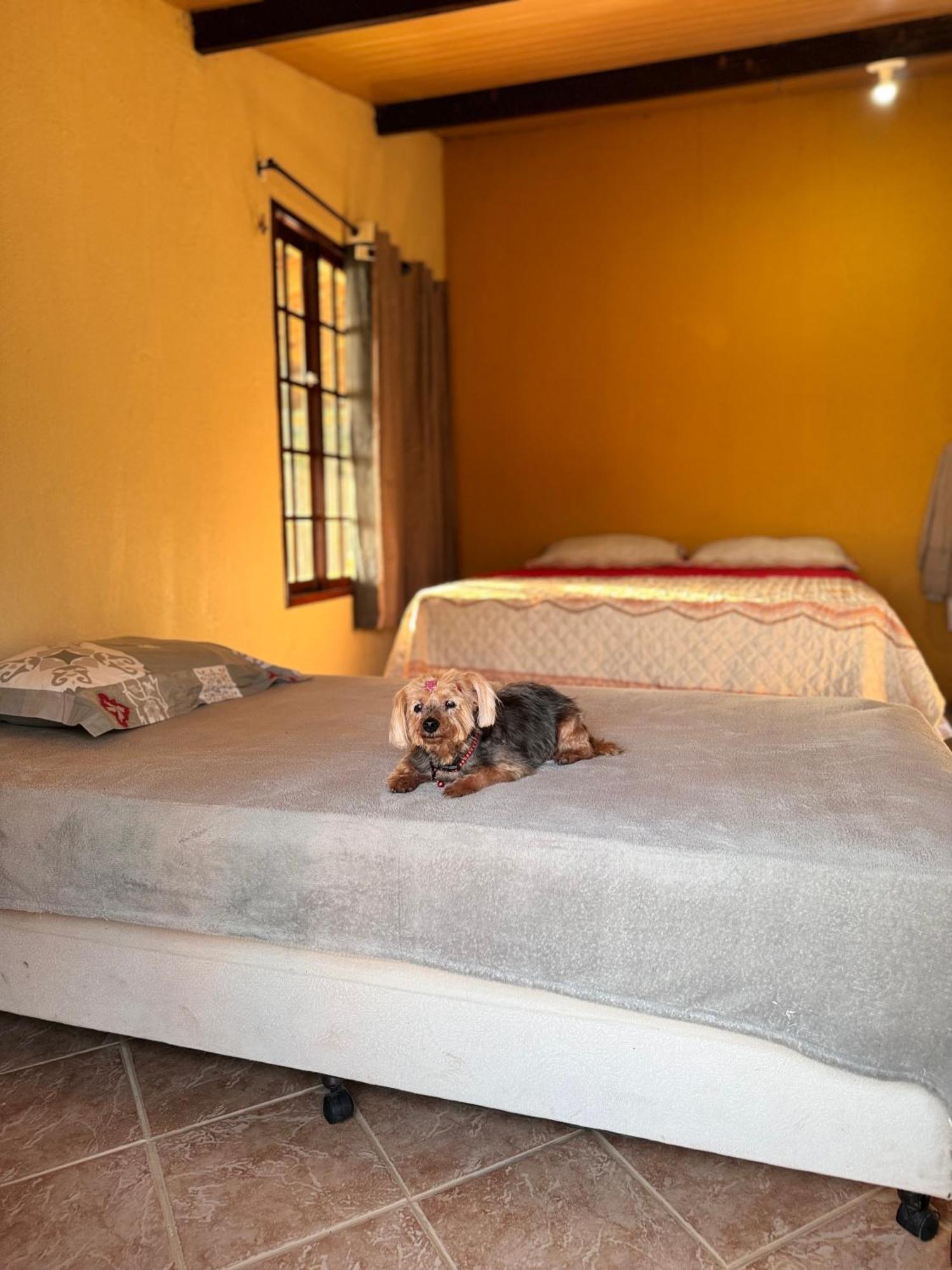 Chale Bella Vista Villa Guaramiranga Bagian luar foto